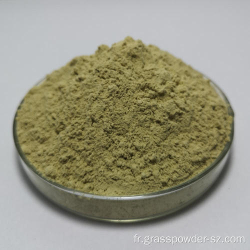 poudre d'extrait de poire de baume biologique